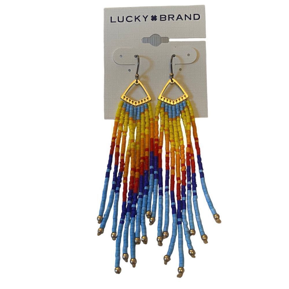 Multi-Colored Beaded Long Fringe Earrings.